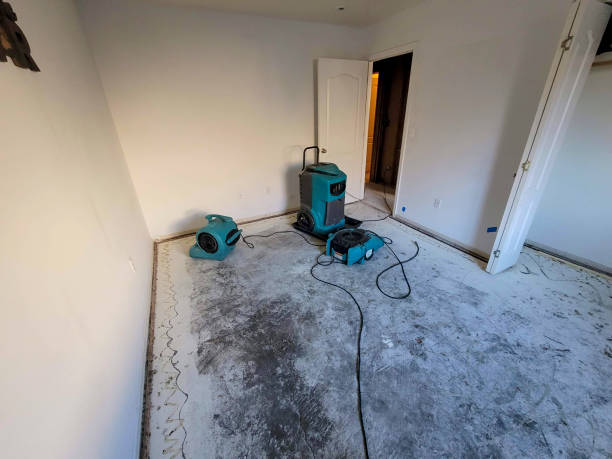 Best Professional water damage repair  in Owasso, OK